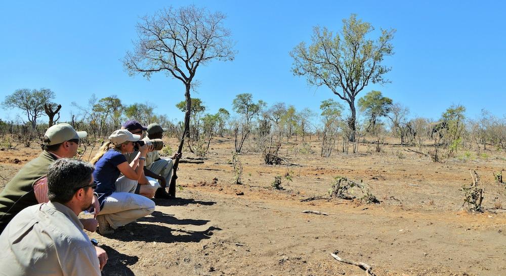 Hoyo Hoyo Safari Lodge Mluwati Concession Kültér fotó