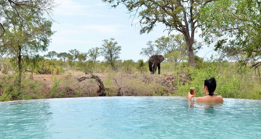 Hoyo Hoyo Safari Lodge Mluwati Concession Kültér fotó