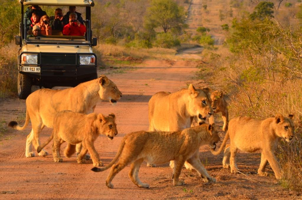 Hoyo Hoyo Safari Lodge Mluwati Concession Kültér fotó