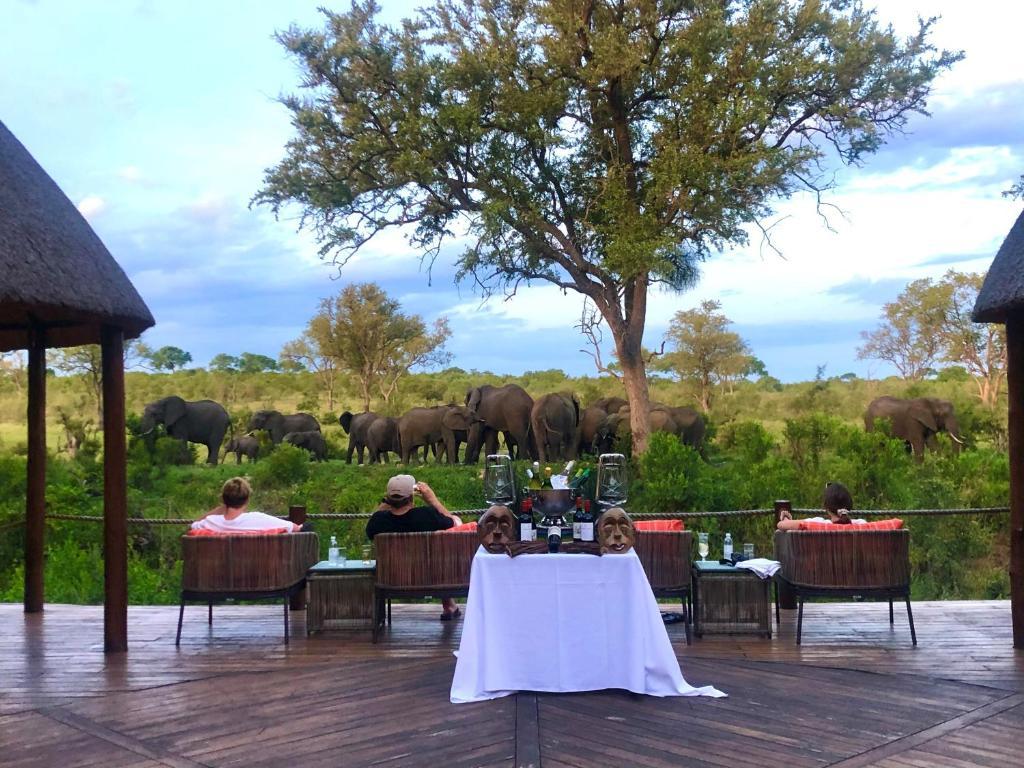 Hoyo Hoyo Safari Lodge Mluwati Concession Kültér fotó