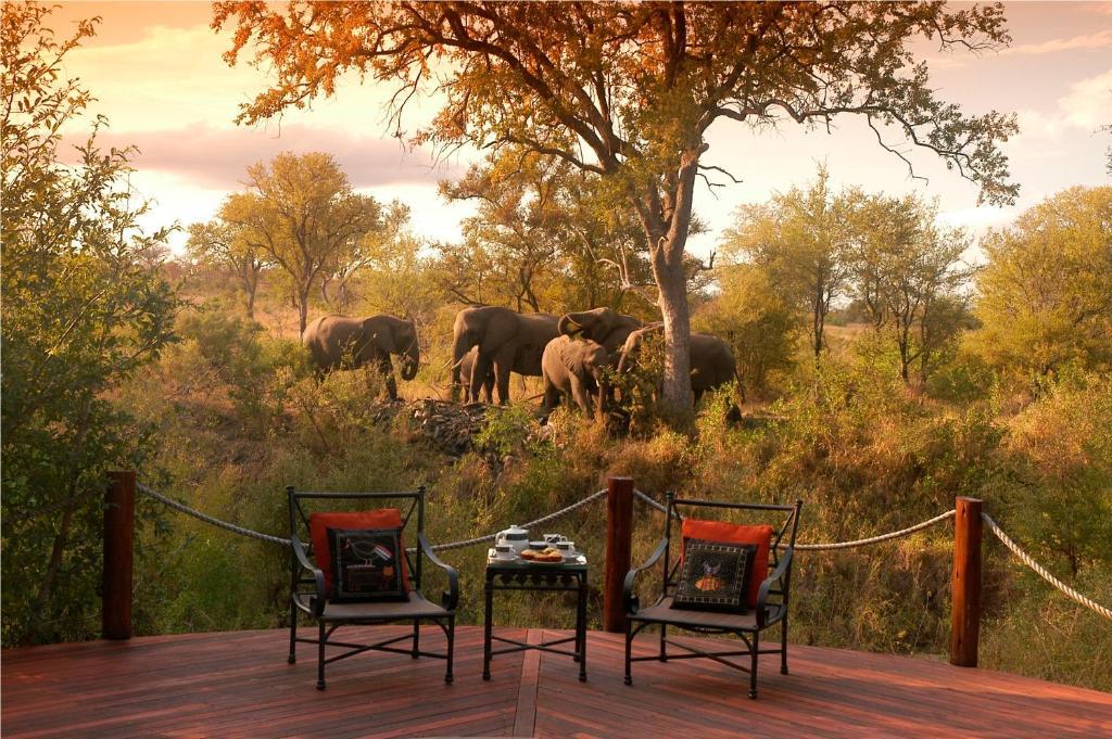 Hoyo Hoyo Safari Lodge Mluwati Concession Kültér fotó